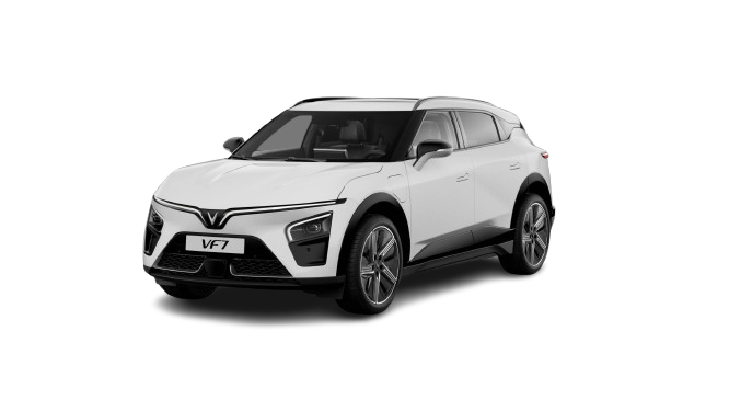 image-removebg-preview (2)